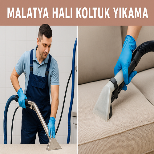 Malatya Halı Koltuk Yıkama Firmaları